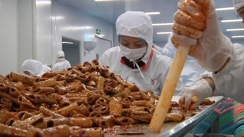 揭秘零食工廠 走進良品鋪子荊州生產基地，見證美味誕生之旅